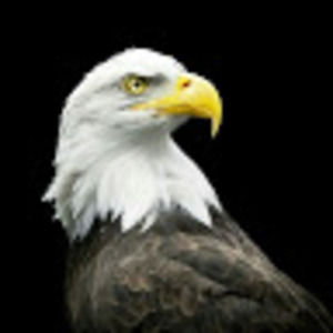 Meet your Posher, Jay kay